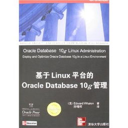 對日軟件外包服務 技術挑戰、市場機遇與成功之道