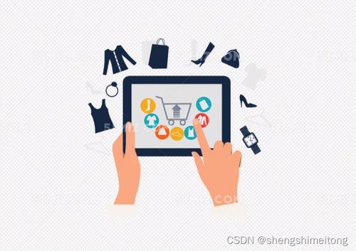 SaaS浪潮下的專業力量 以四川盛通美華為例看軟件外包服務的前途